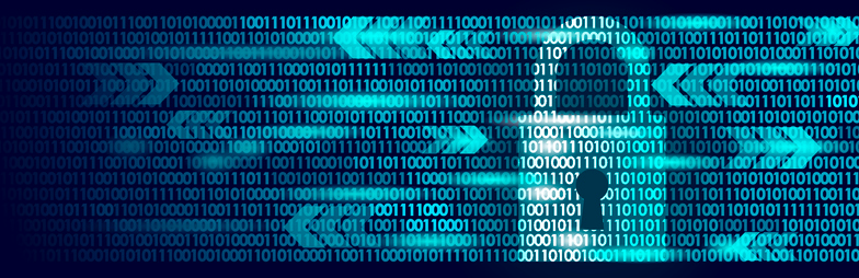 data privacy