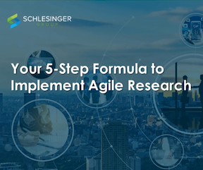 Schlesinger Group's webinar May 2022 opening slide. The presentation was on discussing how innovative teams us agile research. 