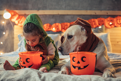 child and dog in costume
