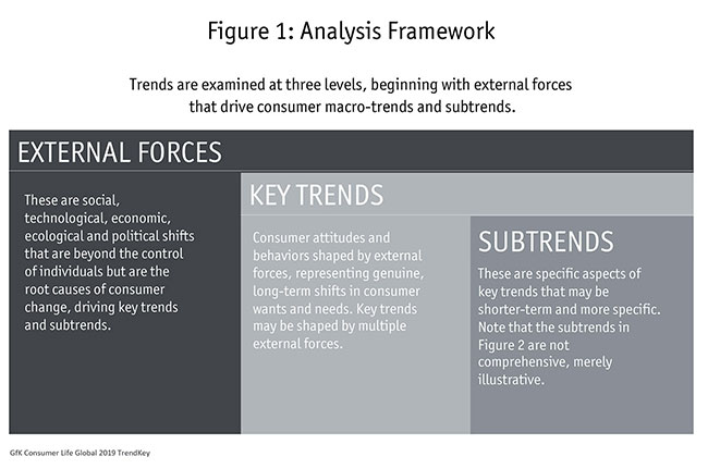Figure 1 Analysis Framework