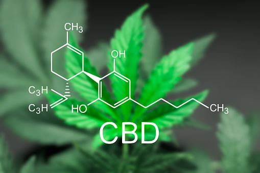 formula CBD