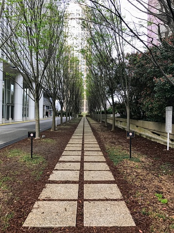 vertical path