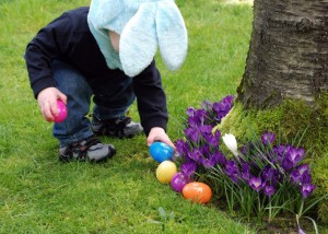 Egg hunt